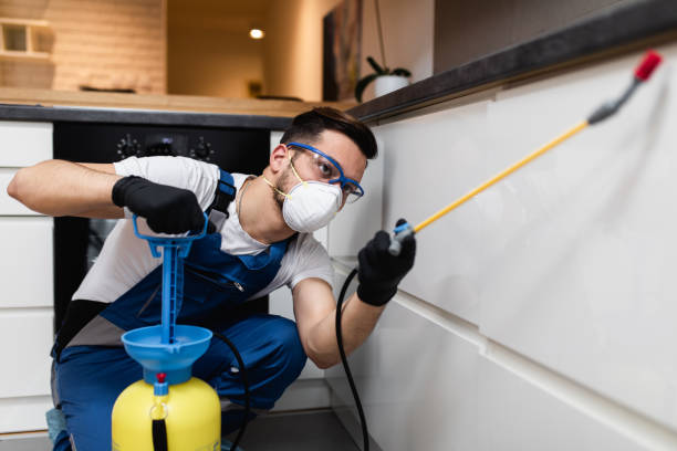 Best Mosquito Control Services  in Magnolia, NC