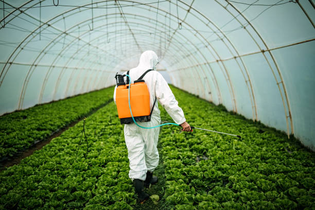Pest Prevention Services in Magnolia, NC