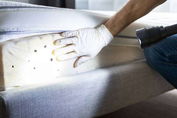 Best Wildlife Control Services  in Magnolia, NC
